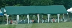 20x20 Tent Green